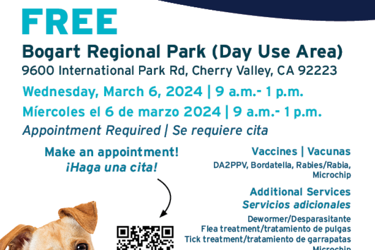 Free dog shots in my area deals